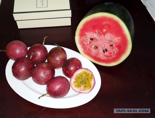 Что едят во Вьетнаме. Прогулка по супермаркету