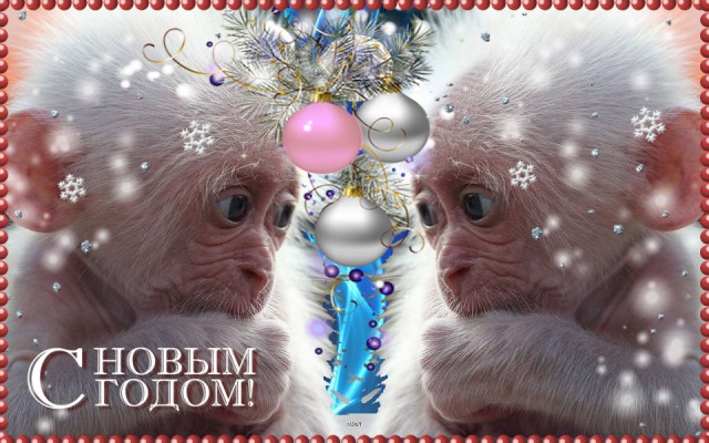 С наступающим ЯП открытки