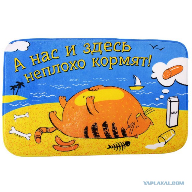 Котовторник 03.01.2017, первый в 2017!