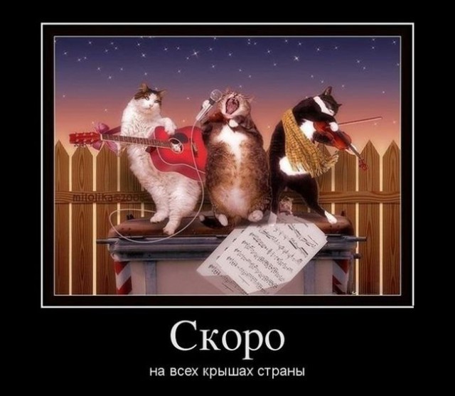Юмор для всех