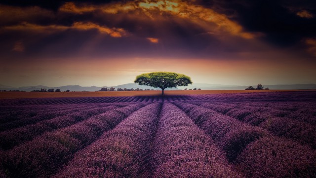ФотоОвсянка