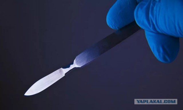 Таинственное исчезновение Джудит Смит