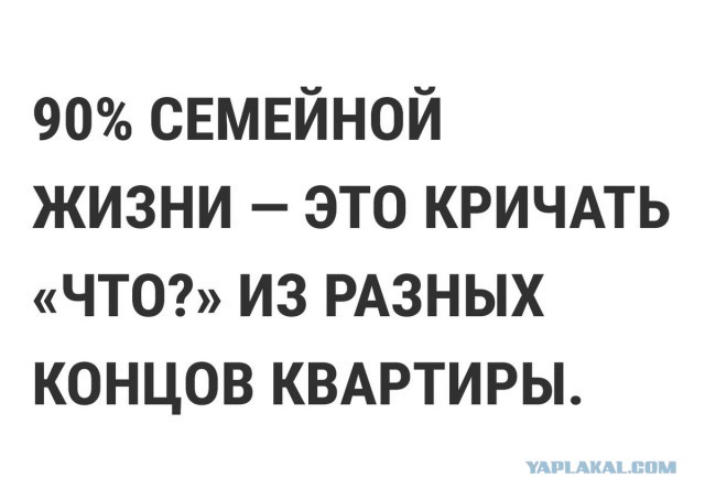 Смешные комментарии из социальных сетей 08.12.2017