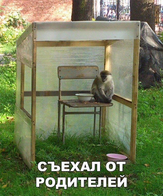 Нестандартный юмор