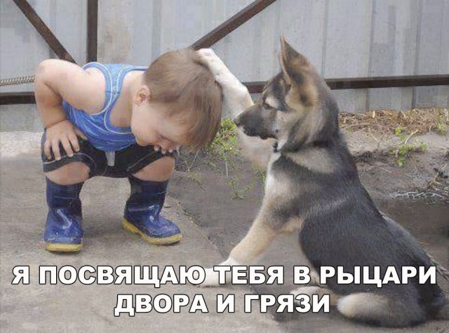 Нестандартный юмор