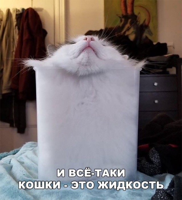 25 картинок на этот вечер