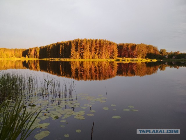 Несколько характерных русских пейзажей