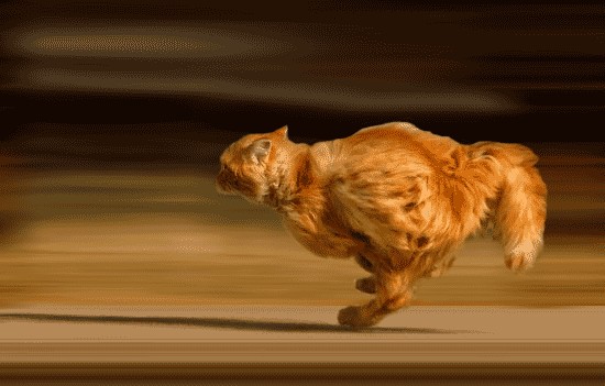 Последний бой.
