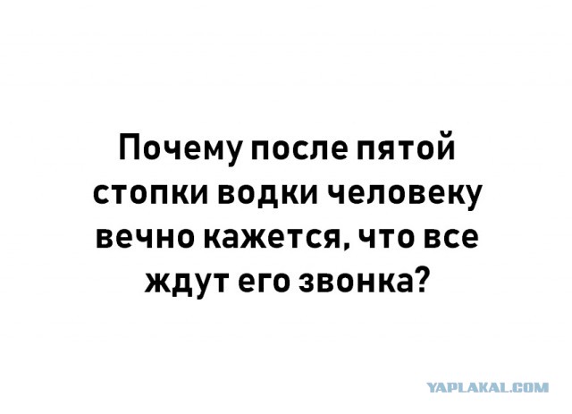 Сорок градусов