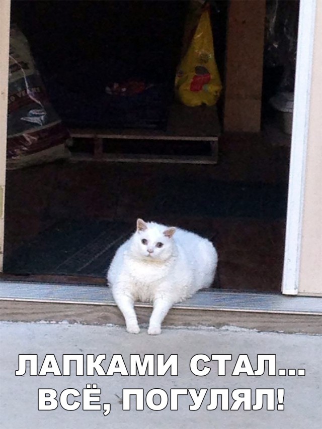 Нестандартный юмор