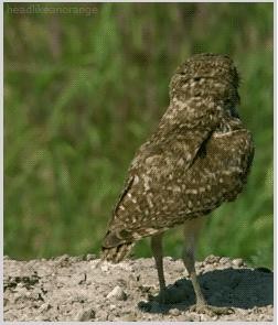 Упс!.. Едва не спалился :D