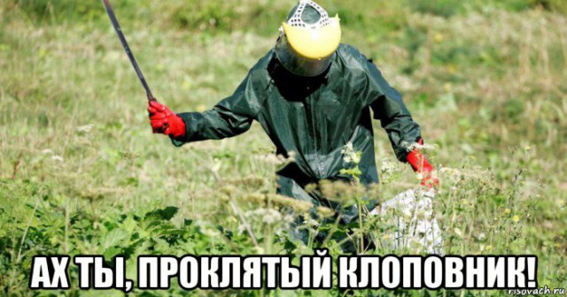 История болезни местной власти. Эпилог.