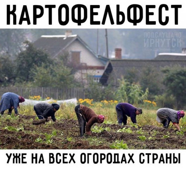 Поедем на дачу?