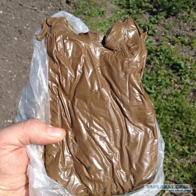Олды здесь?