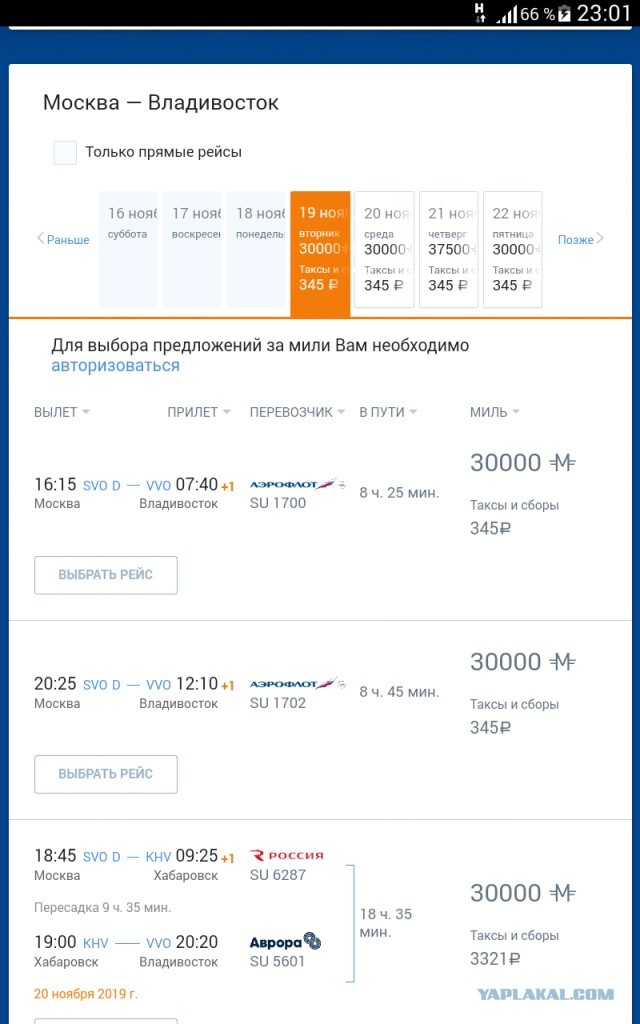 Хозяин толстого кота обратился к "Аэрофлоту" и предложил добрый финал истории