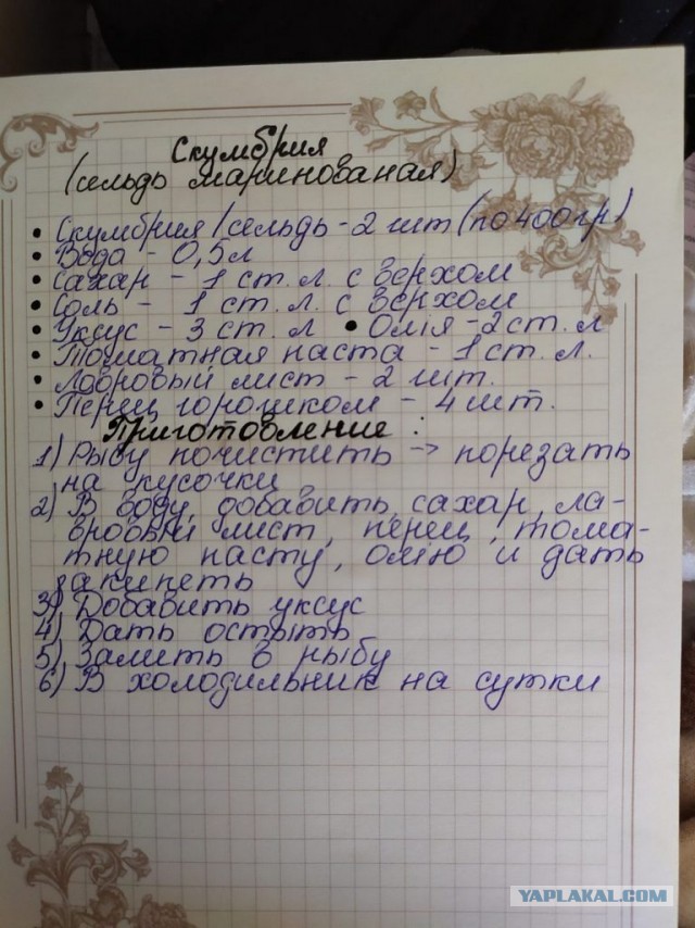 Чем отличается Тихоокеанская сельдь в магазинах от Атлантической. Вся правда