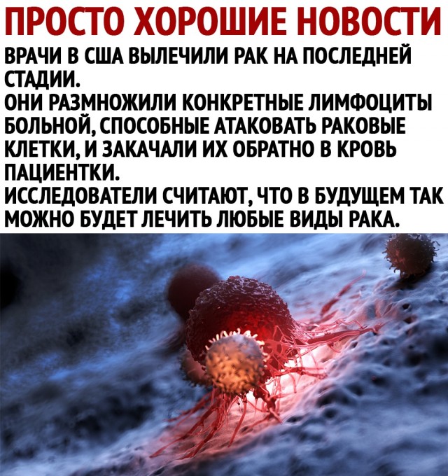 Чуток картинок 21.04.20
