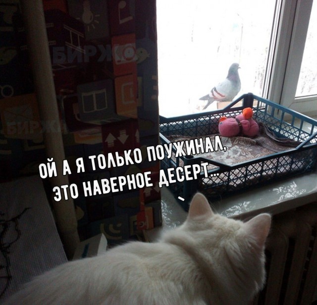 Чуток картинок 29.05.20