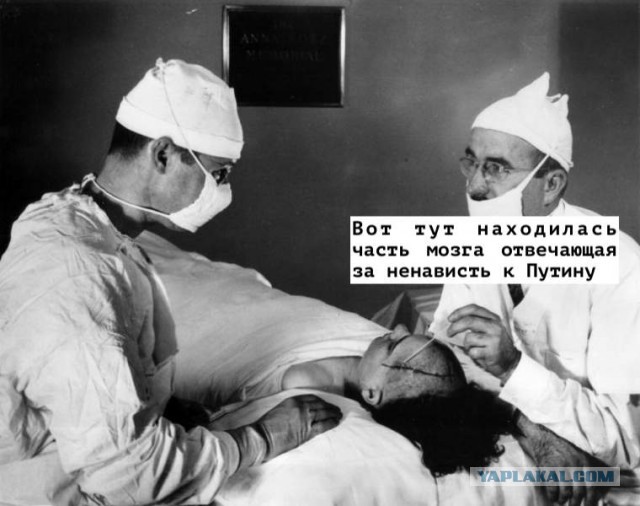 Смотрю на эту рожу...