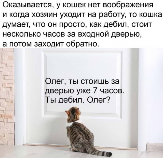Бредзона 06.08.2020