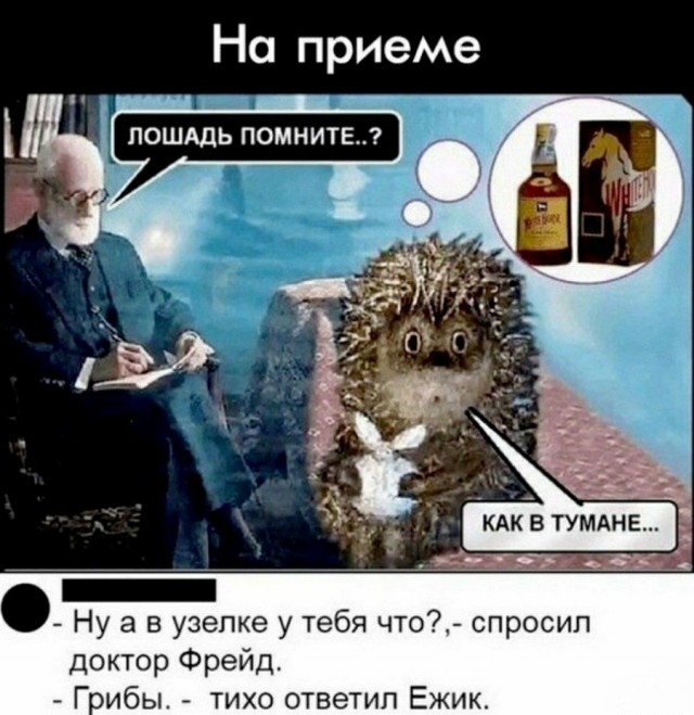 Фотки и картинки: юморные и красивые, забавные и милые 20.09.20