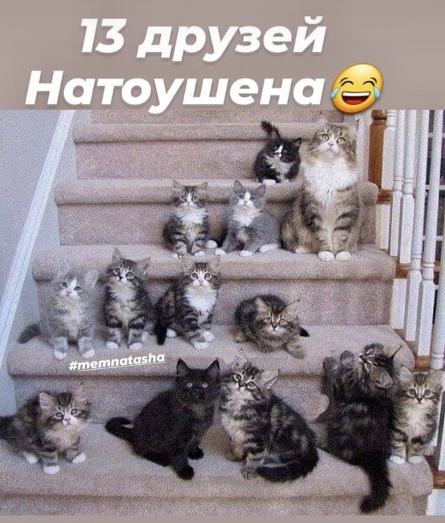 Бредзона 15.12.20