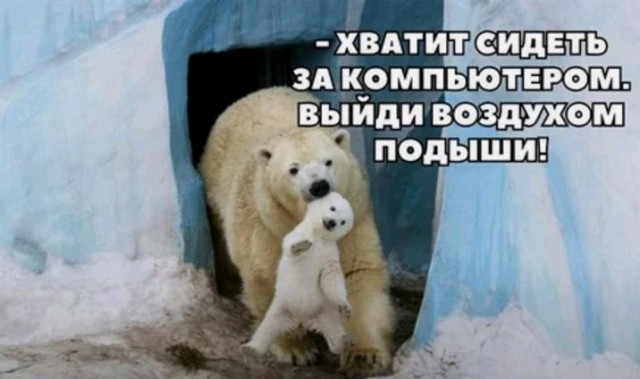 Картинки и мемы для настроения 025
