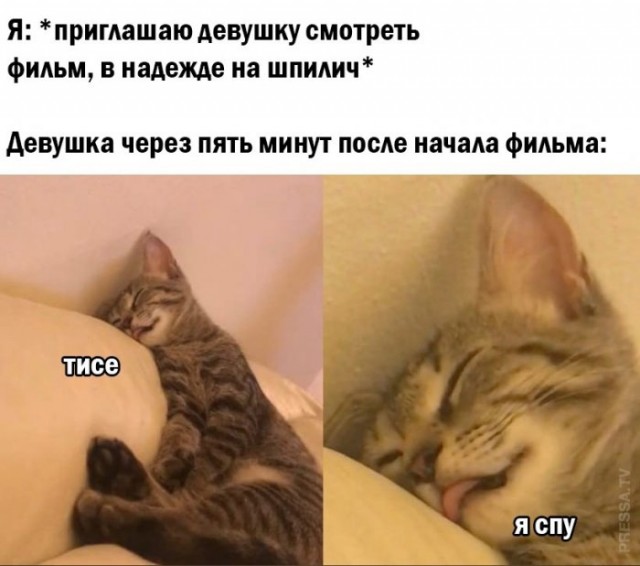 Картинки и мемы для настроения 13.04.2021