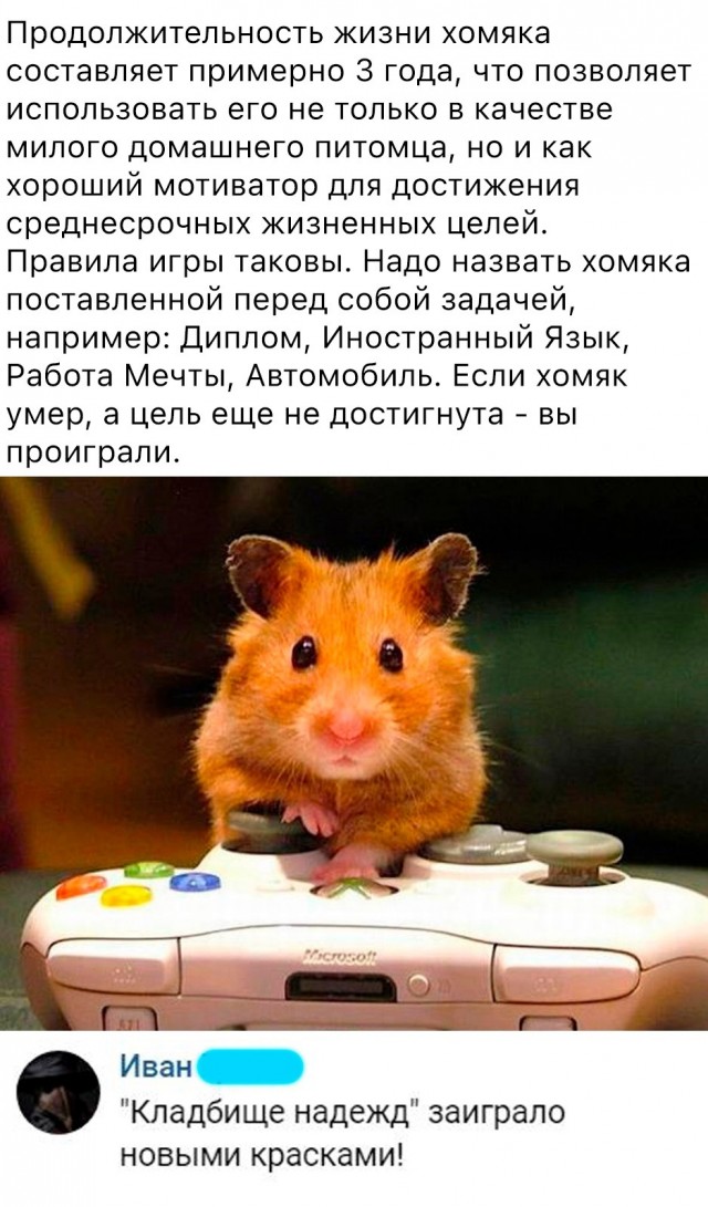 Забавные комментарии из социальных сетей 24.05.21