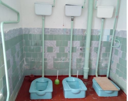 Власти Вуктыла наказали руководство школы за участие в конкурсе на худший туалет!