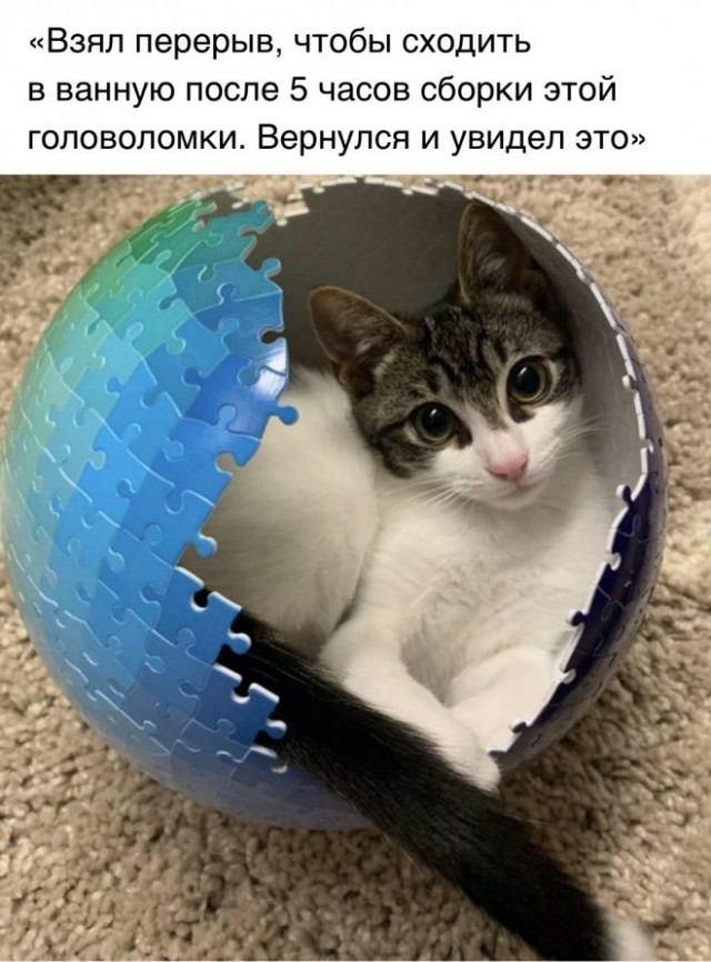 Всякие разные картинки 019