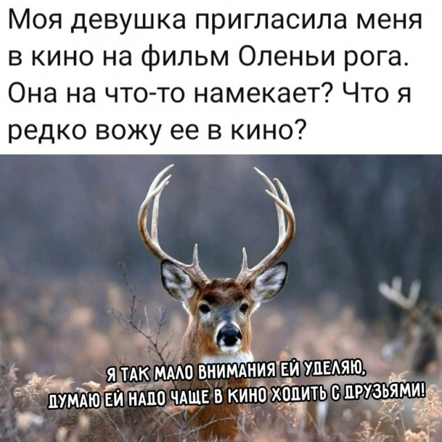 Картинки и мемы для настроения