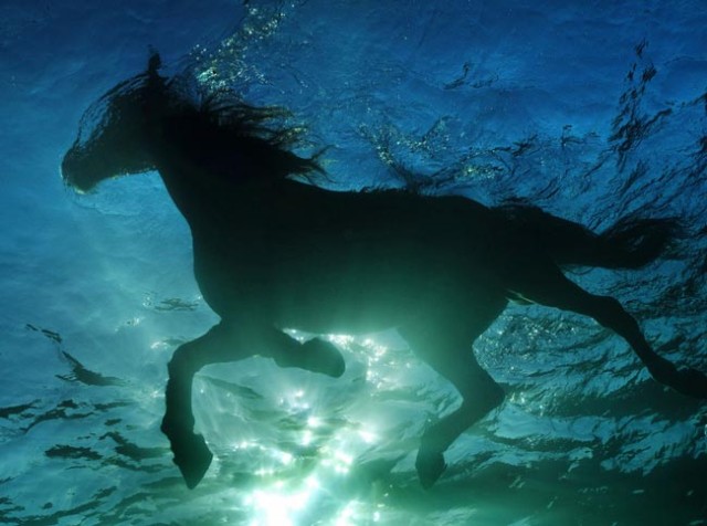 Ксения Собчак снялась полностью обнаженной в купели