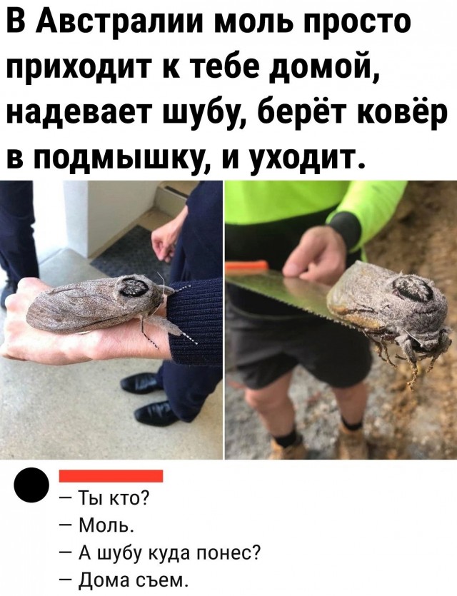 Картинки и мемы для настроения - 10
