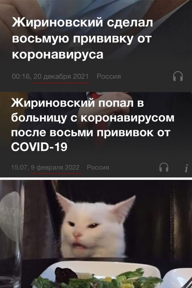 Так себе картинки 11.02.22