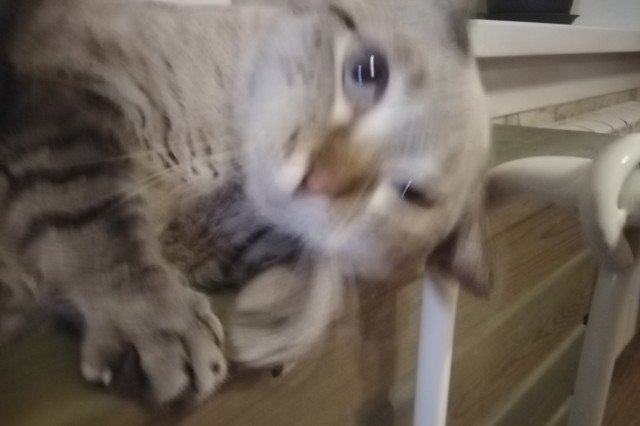Котовторниковское