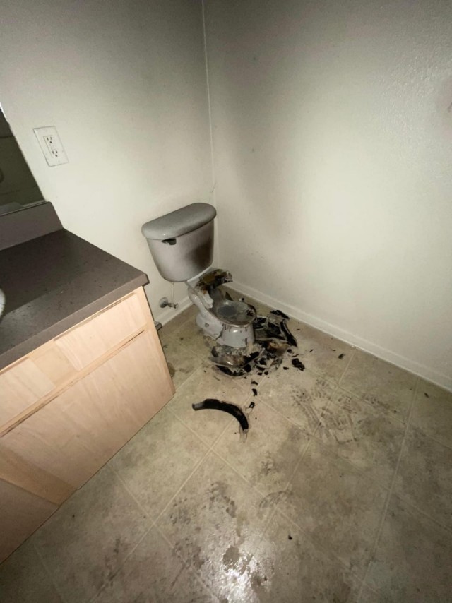 Не садись на унитаз во время грозы