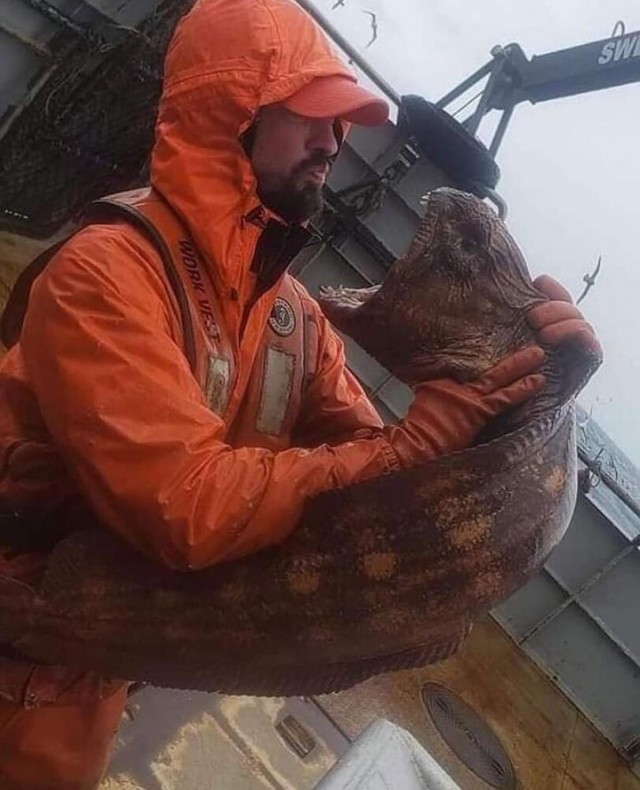 Запоминающиеся картинки