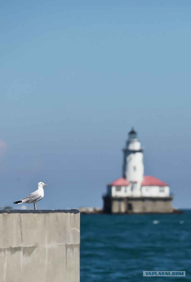 США: Марш-бросок с Востока на Запад