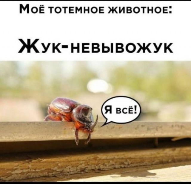 Весёлый полтишок 15.07.22