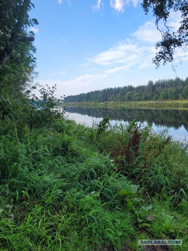 Рыбалка на леща