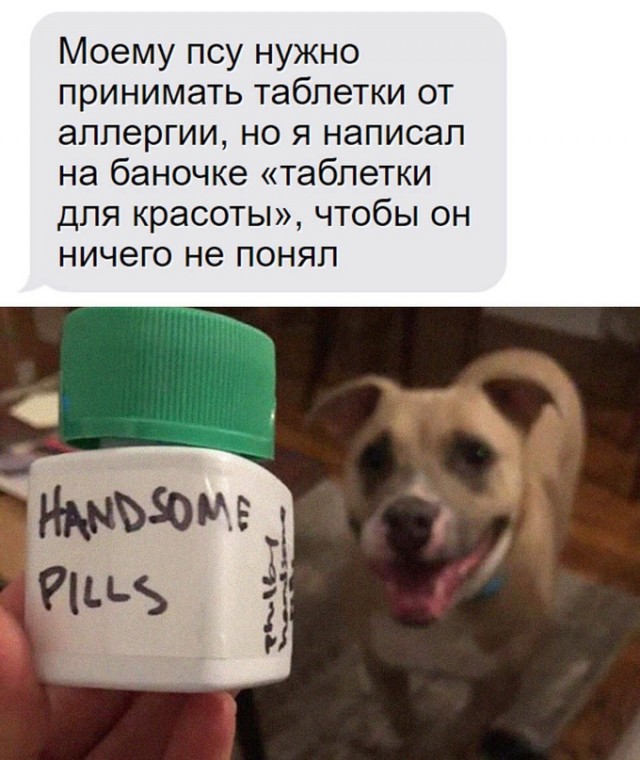 Так себе картинки 28.09.22