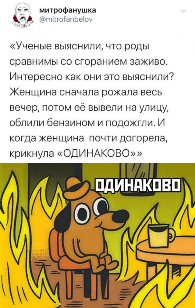 Картинки и мемы для настроения - 111