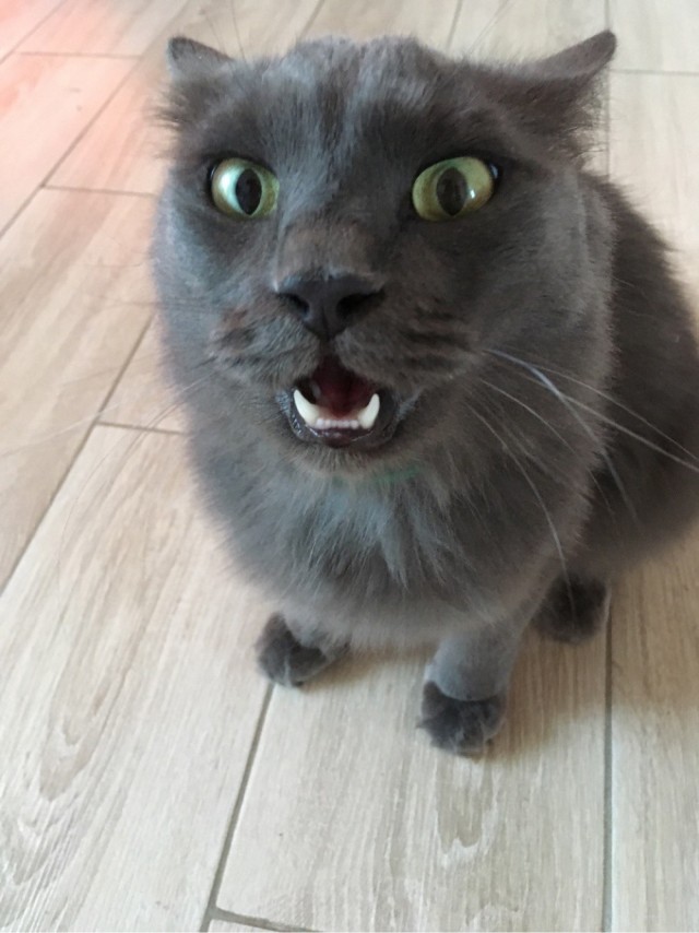Маняня