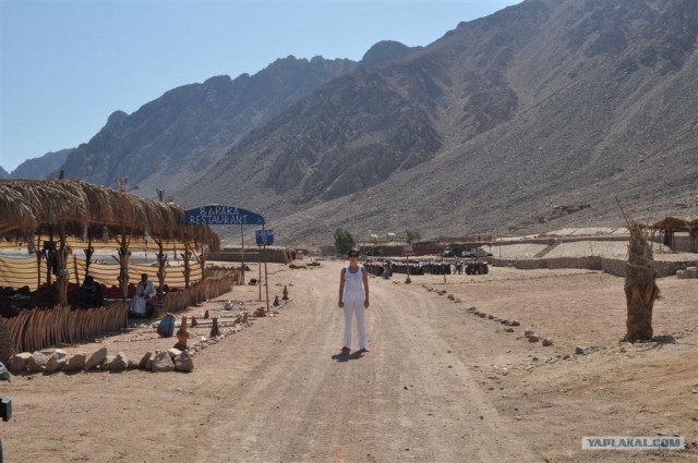 Как я ездил в Египет