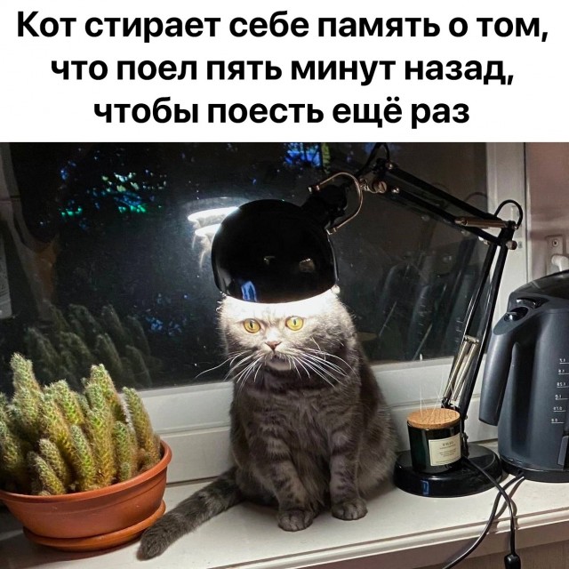 Картинки вроде весёлые и совсем немного задуматься