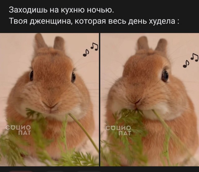 Короче, поступила как мужик