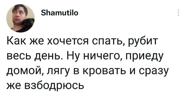 Забавные комментарии из социальных сетей 30.01.23