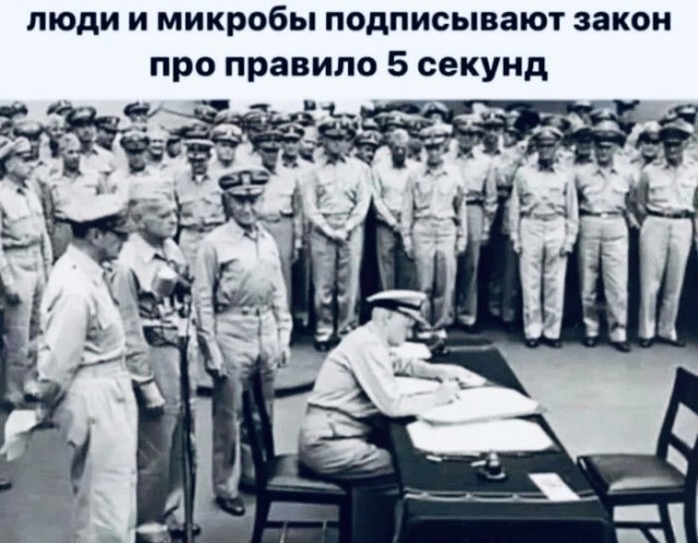 Нуштош 04.02.2023