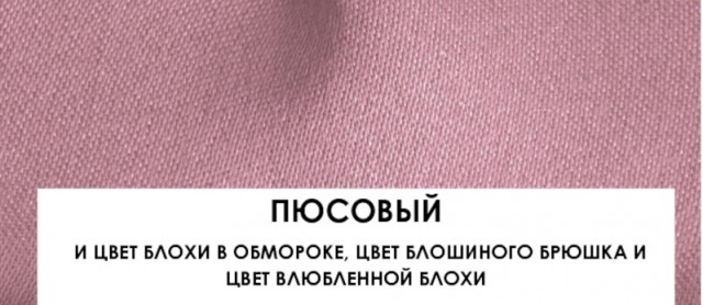 Думаю, что её дочь просто завидует!